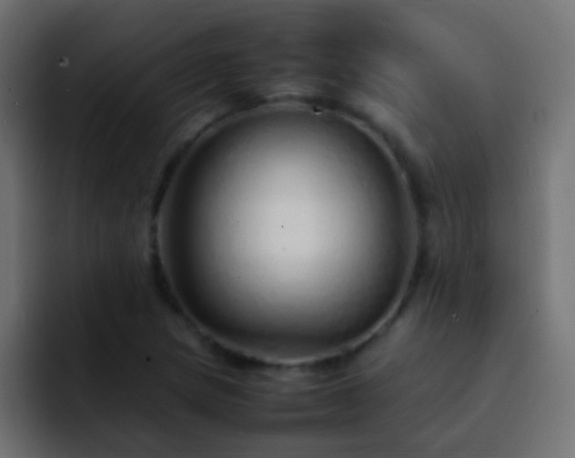 X0000093151217200710031422