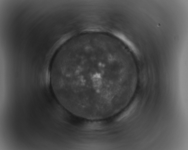 X0000093151221200710031422