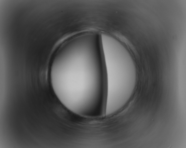 X0000093151222200710031422