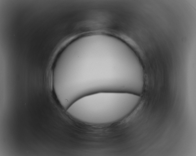 X0000093151223200710031422