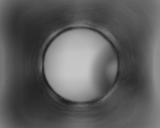 X0000093151224200710031422