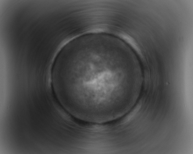 X0000093151226200710031422