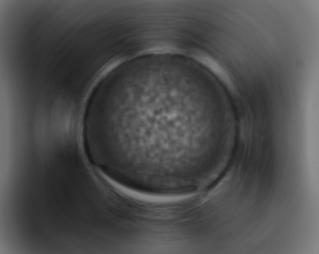 X0000093151229200710031422