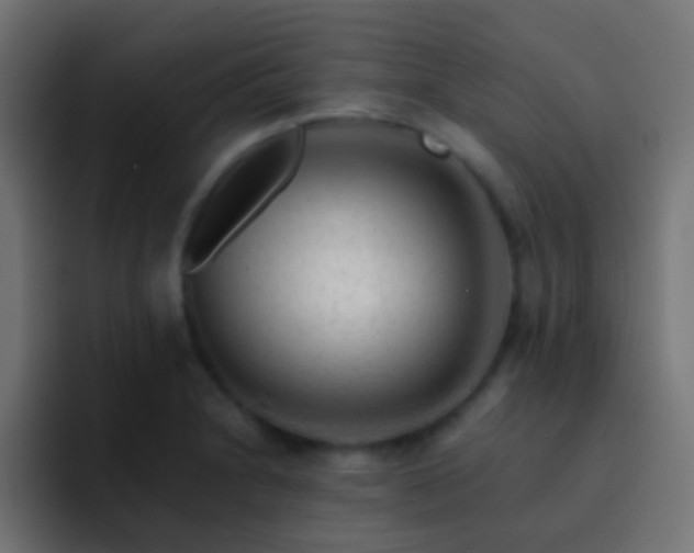 X0000093151230200710031422