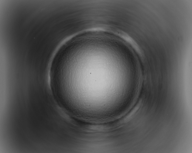 X0000093151232200710031422