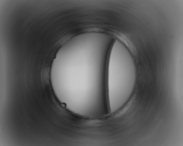 X0000093151233200710031422
