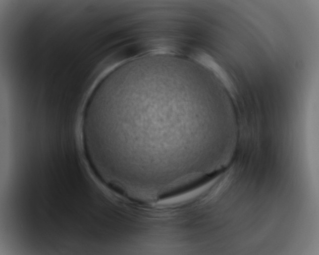 X0000093151235200710031422