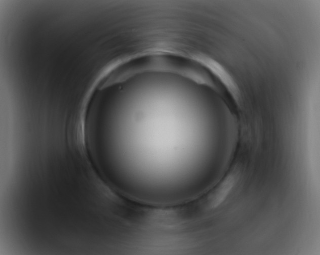 X0000093151238200710031422