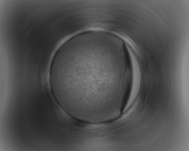 X0000093151240200710031422