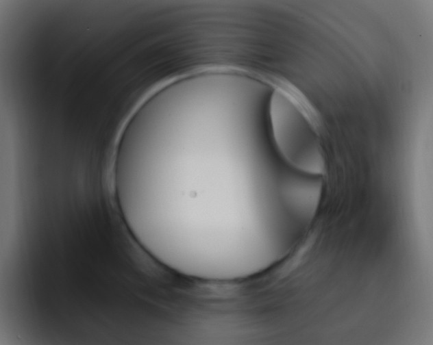X0000093151244200710031422