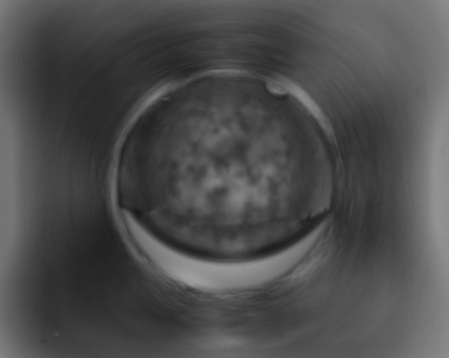 X0000093151245200710031422
