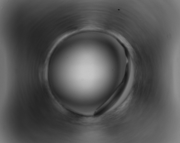X0000093151246200710031422