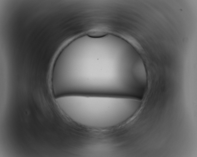 X0000093151248200710031422