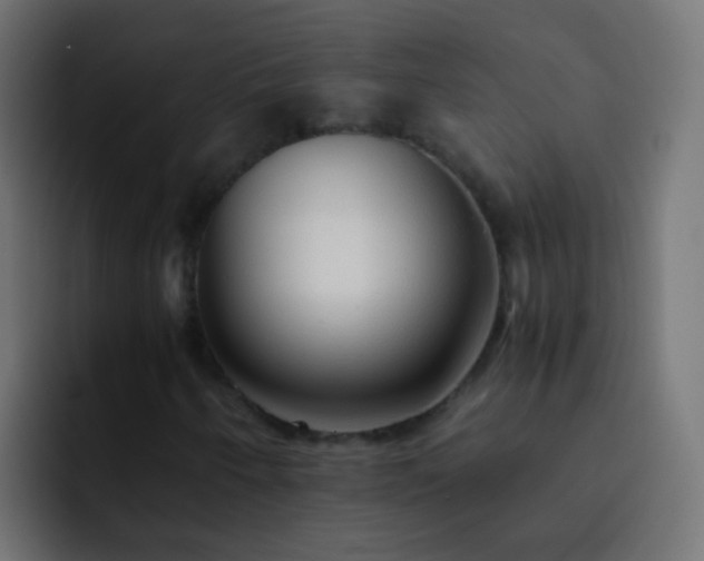 X0000093151250200710031421