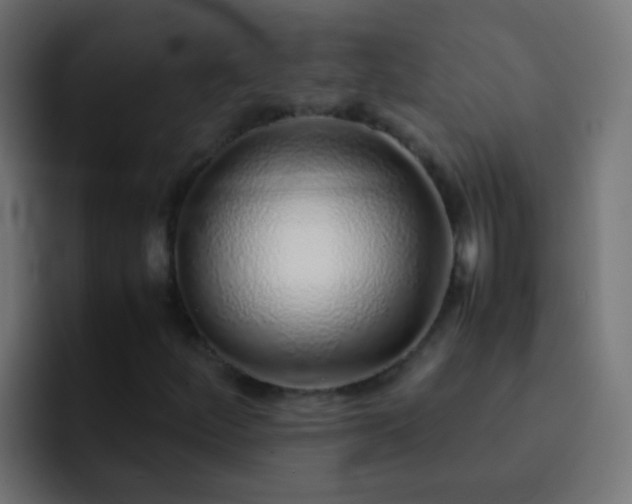 X0000093151252200710031421