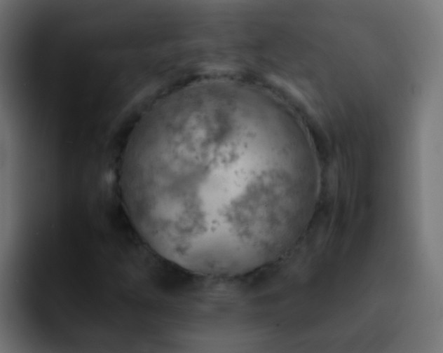 X0000093151254200710031421