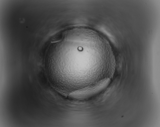 X0000093151255200710031421