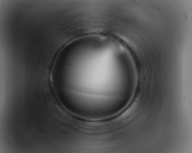 X0000093151257200710031421