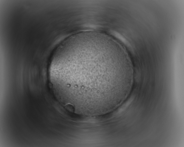 X0000093151259200710031421