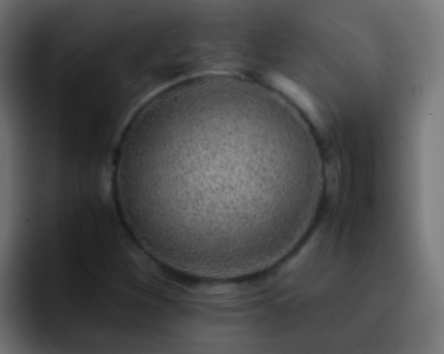 X0000093151260200710031421