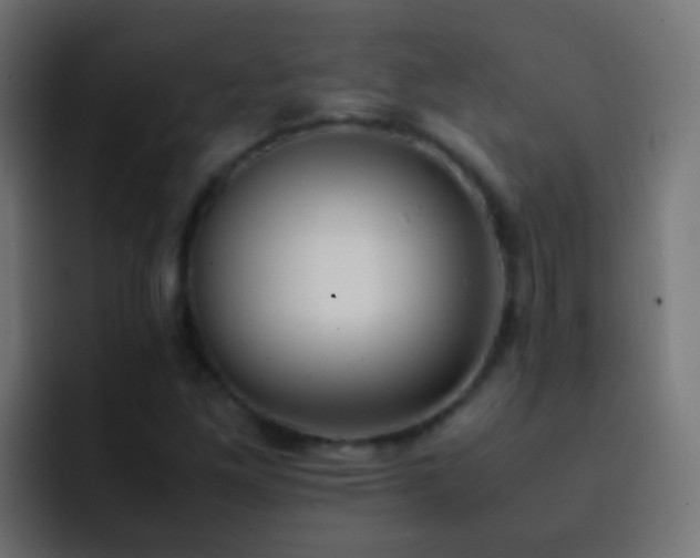 X0000093151261200710031421