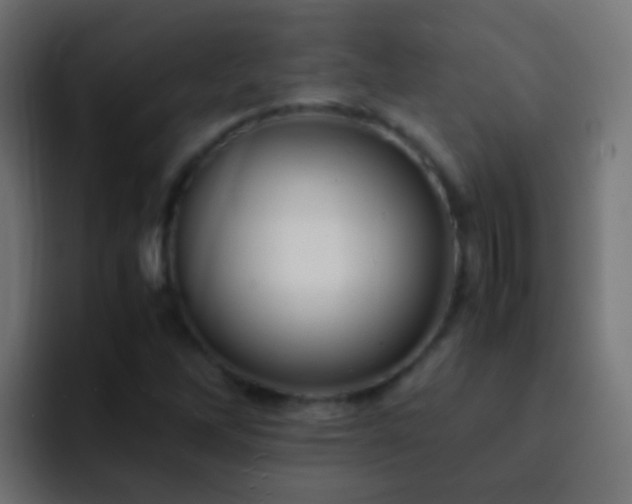 X0000093151262200710031421