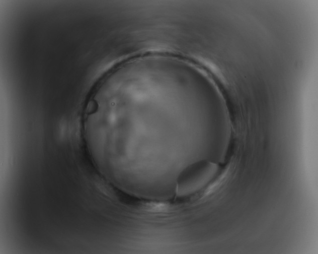 X0000093151263200710031421