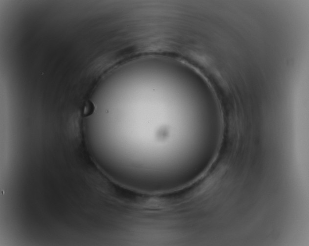 X0000093151265200710031421
