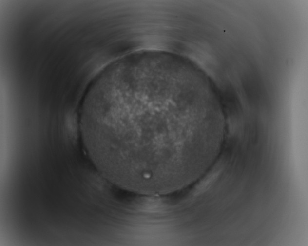 X0000093151266200710031421