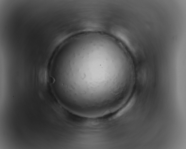 X0000093151267200710031421