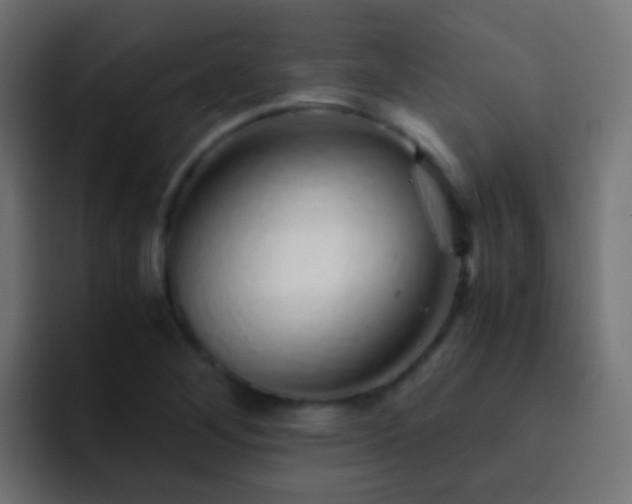 X0000093151268200710031421