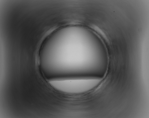 X0000093151269200710031421