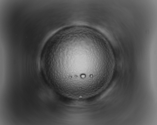 X0000093151271200710031421