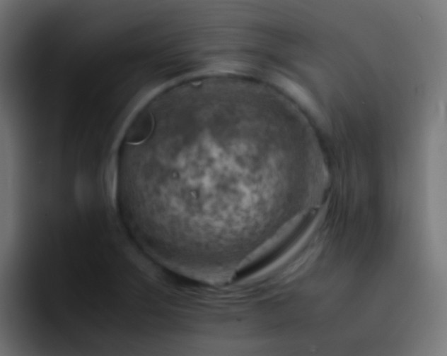 X0000093151275200710031421