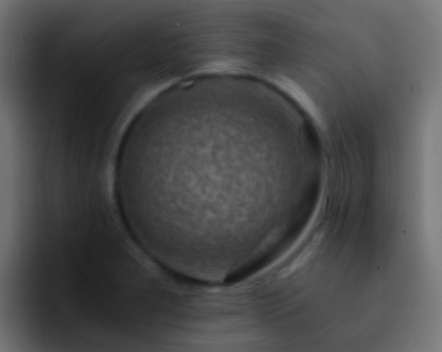 X0000093151277200710031421