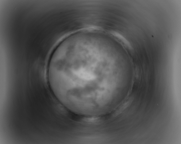 X0000093151278200710031421