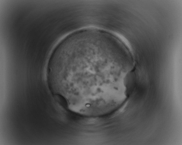 X0000093151279200710031421