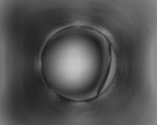 X0000093151280200710031421