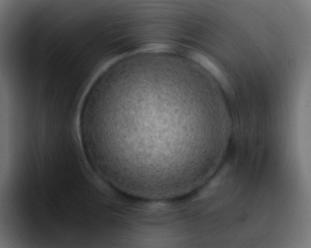 X0000093151283200710031421