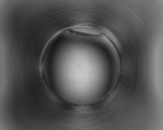 X0000093151284200710031421