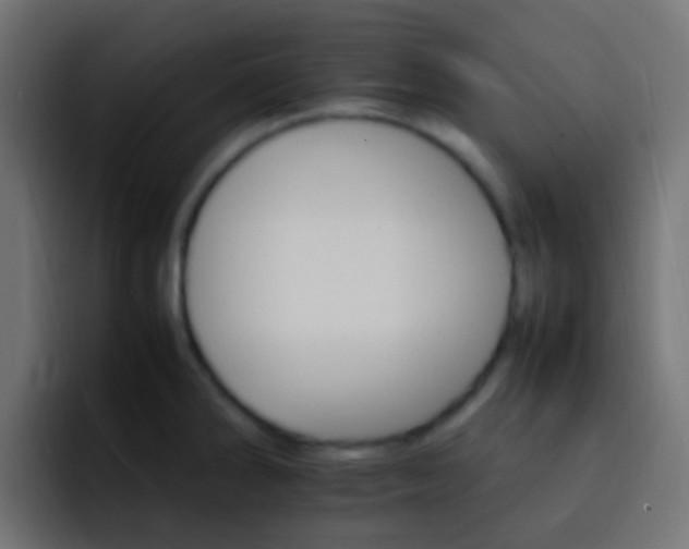 X0000093151286200710031421
