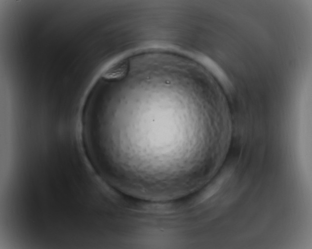 X0000093151287200710031421