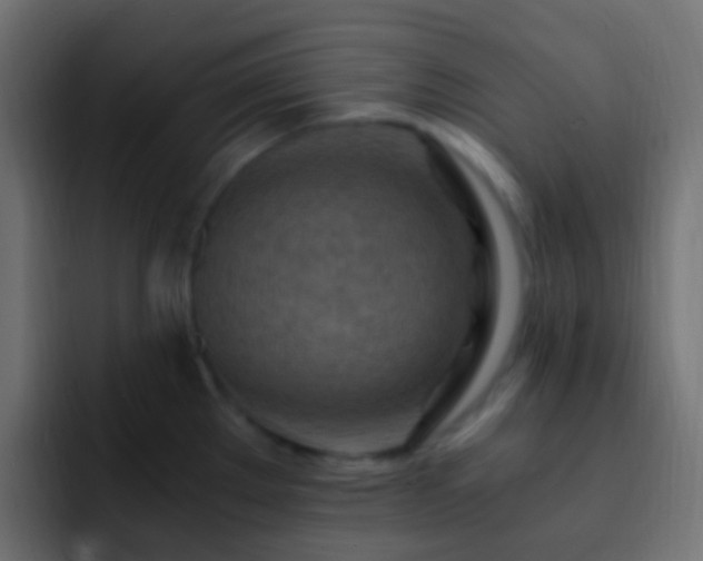 X0000093151289200710031421