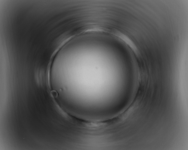 X0000093151290200710031421