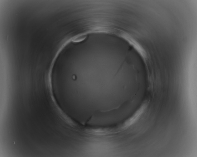 X0000093151291200710031421