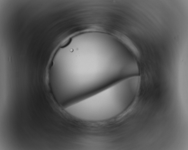 X0000093151292200710031421