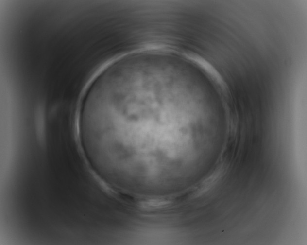 X0000093151294200710031421