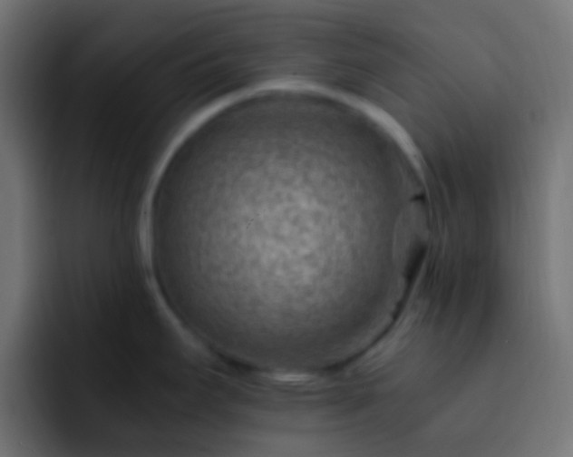 X0000093151295200710031421