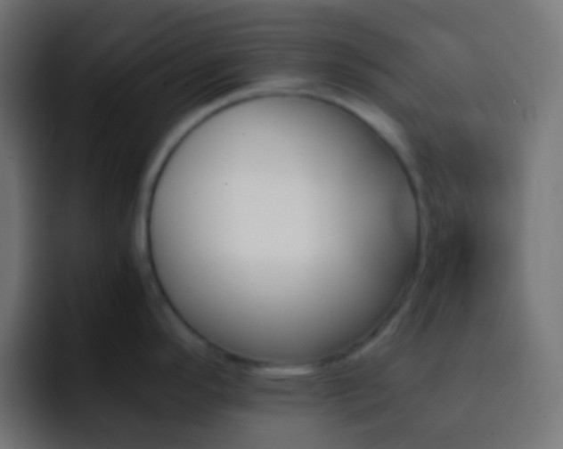 X0000093151296200710031421