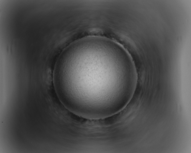 X0000093151301200710031420